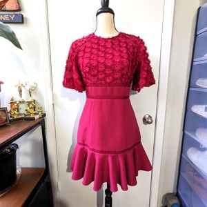 Keepsake Pink Dress XS